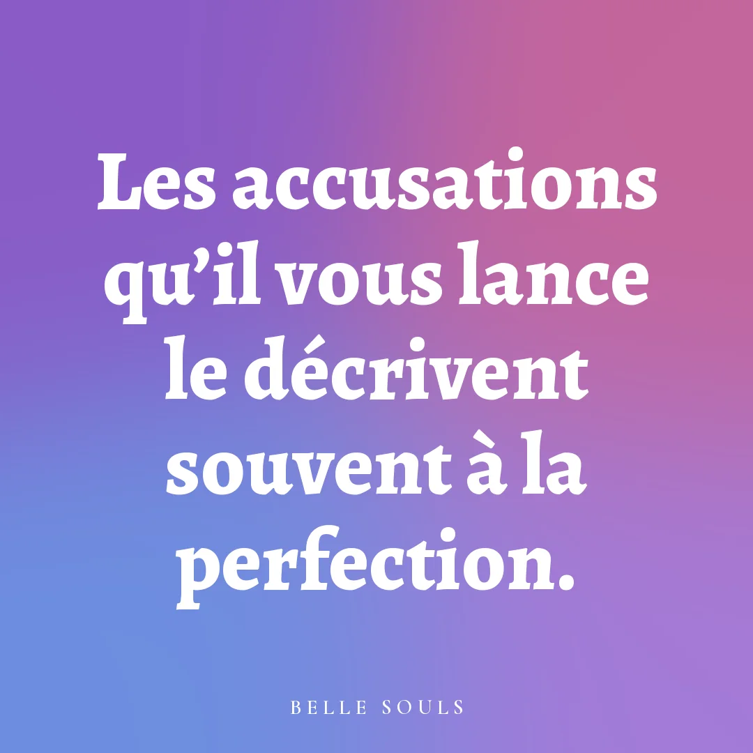 Les accusations qu'il vous lance le décrivent souvent à la perfection.