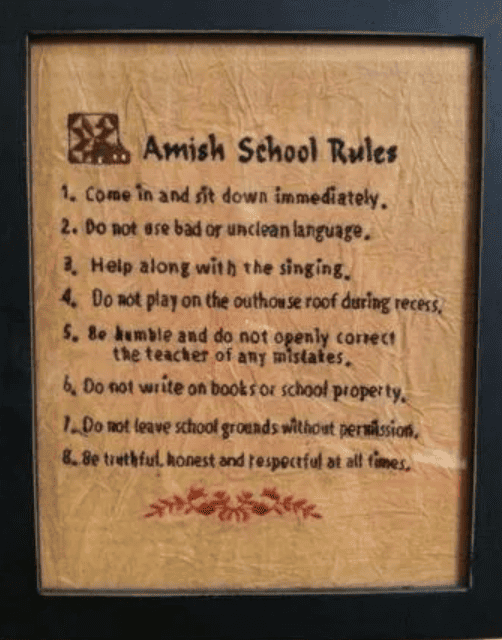 40+ Facts You Didn't Know About Amish People